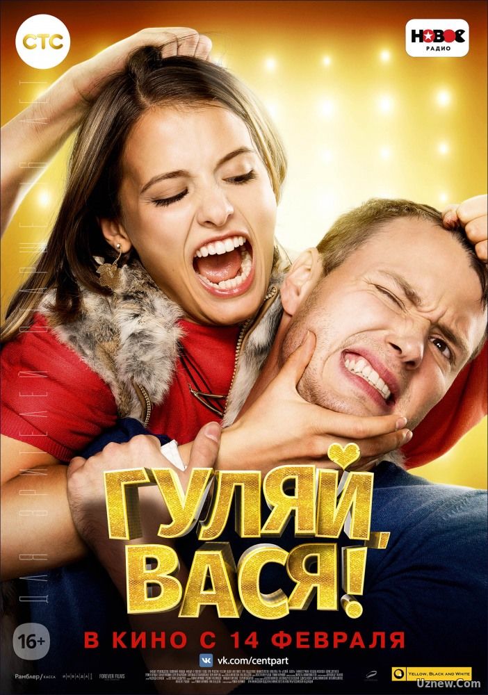 Гуляй, Вася (фильм 2017)