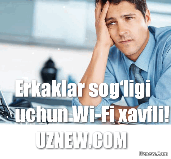 Erkaklar sog‘ligi uchun Wi-Fi xavfli!