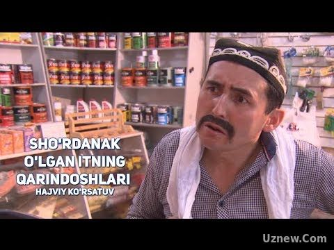 Sho'rdanak - O'lgan itning qarindoshlari | Шурданак - Улган итнинг кариндошлари (hajviy ko'rsatuv)