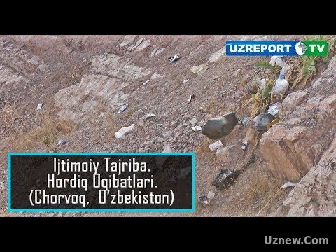 Ijtimoiy tajriba - Hordiq oqibatlari (Chorvoq, O'zbekiston)