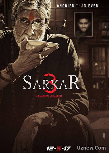 Саркар 3 / Sarkar 3 (2017)