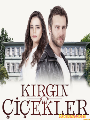 Kırgın Çiçekler 1- 44-45.Bölüm izle Tek Parça