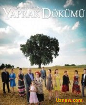 Yaprak Dökümü 174-175 bölüm Final tek parça