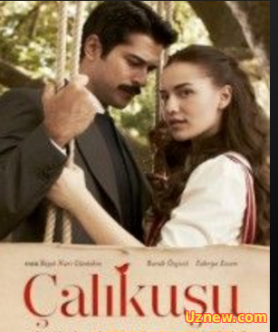 Çalıkuşu 31 bölüm Final tek parça