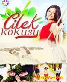 Çilek Kokusu 23.Bölüm Final izle Tek Parça