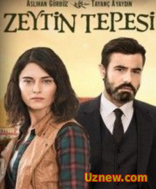 Zeytin Tepesi