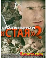 Позывной Стая - 2 (2014) Россия  4 часть