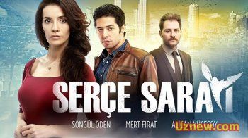 Serçe Sarayı (2015) 11.bölüm