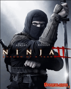 Ниндзя 2 / Ninja: Shadow of a Tear (2013)