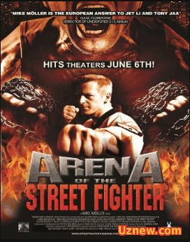 Уличный боец / Arena of the Street Fighter (2012)