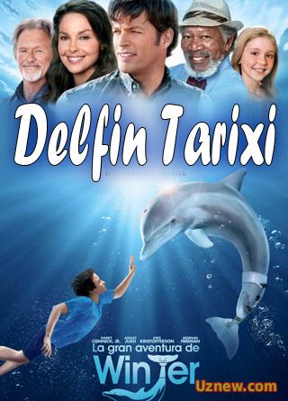 Дельфин тарихи - Delfin Tarixi