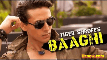 Baaghi 2016 1-qism hind tilida