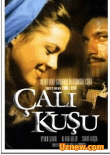 ÇalıKuşu 1.Bölüm izle Tek Parça