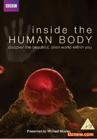 Внутри человеческого тела / Inside the Human Body 4 серия