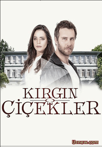 Kırgın Çiçekler 50.Bölüm Sezon Finalı izle Tek Parça