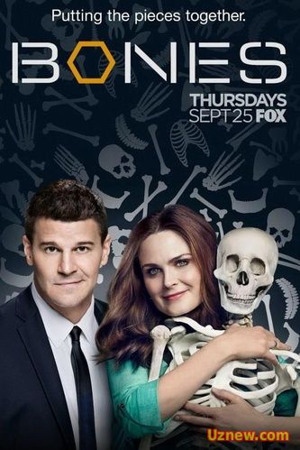 Кости  Bones 11 сезон описание фильма