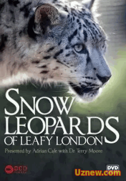 Снежный барс в зеленом Лондоне — Snow Leopards of Leafy London (2013)