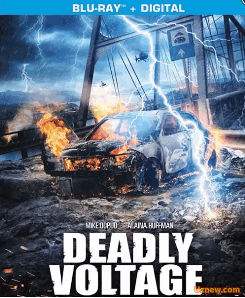 Смертельное напряжение / Deadly Voltage (2015)