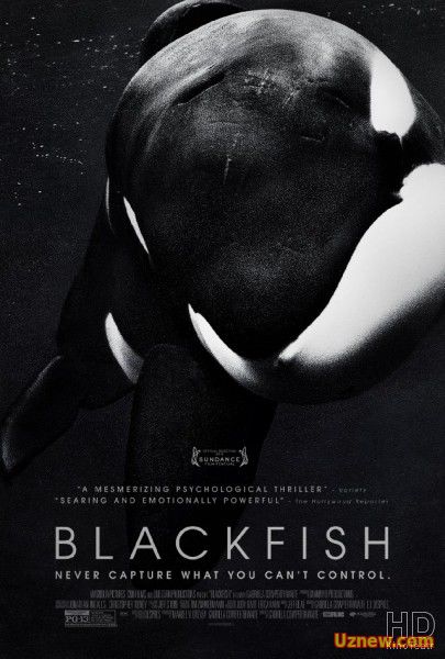 Черный плавник / Blackfish 2016