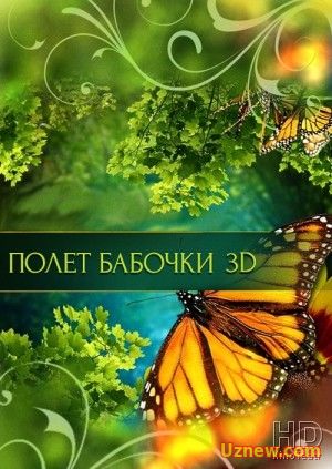 Полет бабочки 3D