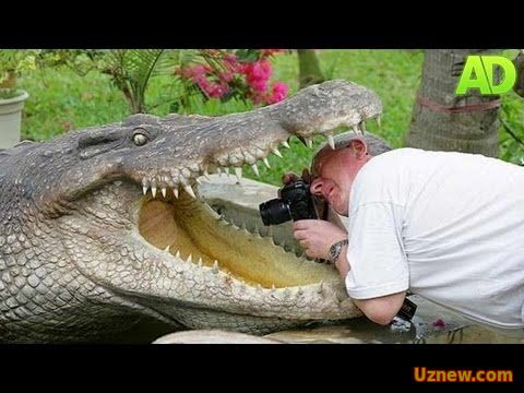 ДОВЮРАК ФОТОСУРАТКАШЛАР | DOVYURAK FOTOSURATKASHLAR