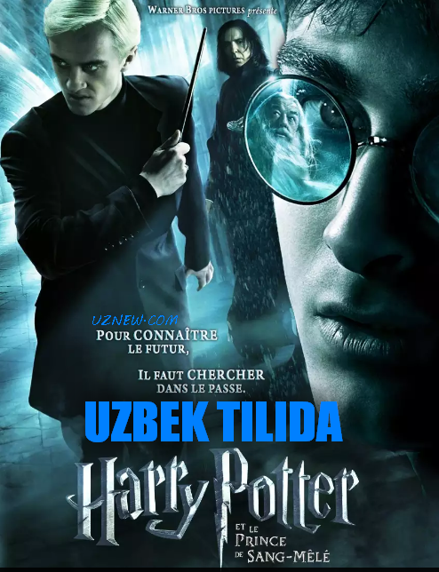 Garri potter - shaxzoda tilsimi (2009) uzbek tilida