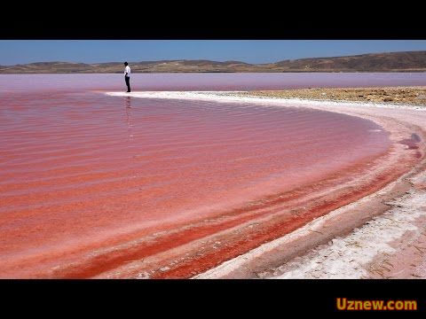 КИЗИЛ ДЕНГИЗ ХАКИДА КИЗИКАРЛИ ФАКТЛАР