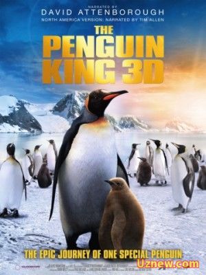 КОРОЛЬ ПИНГВИНОВ / THE PENGUIN KING (2012)