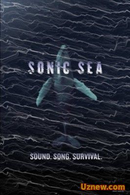 ОГЛУШАЮЩИЙ ОКЕАН / SONIC SEA (2016)