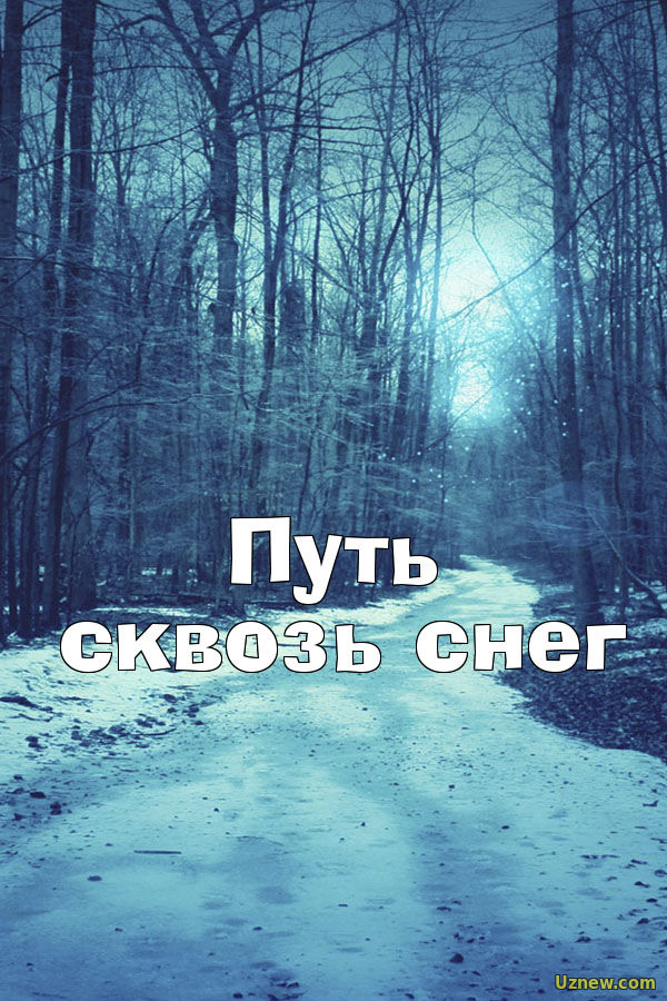 Путь сквозь снег 1,2 серия (сериал 2017)